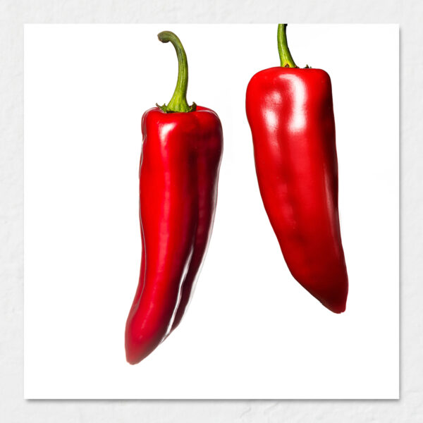 Czerwona słodka papryka - plik do pobrania