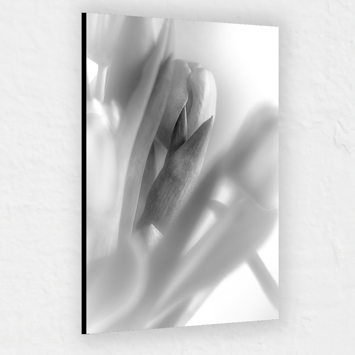 Pobierz plik do wydruku wielkoformatowego 40x60 cm - tulipany