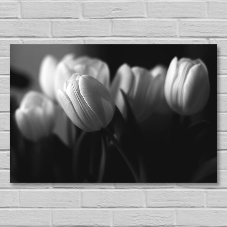 Plik do pobrania jasne tulipany na ciemnym tle