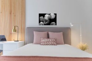 Dekoracja wnętrz pliki, tulipany czarno białe