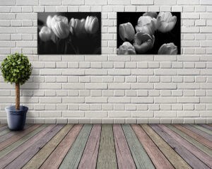 Dekoracja wnętrz pliki, tulipany