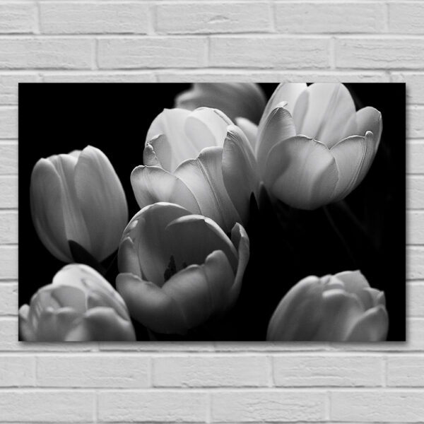 plik do pobrania z motywem tulipany monochromatyczne