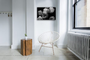 plik do pobrania z motywem tulipany monochromatyczne