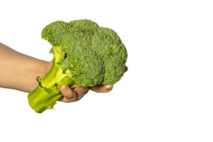 brokuł trzymany w dłoni na białym tle