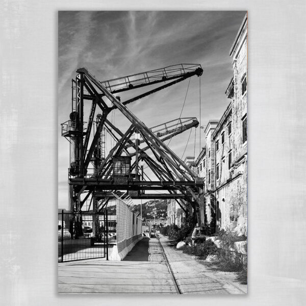 Czarno-biała fotografia przedstawiająca stare żurawie portowe w opuszczonej strefie przemysłowej