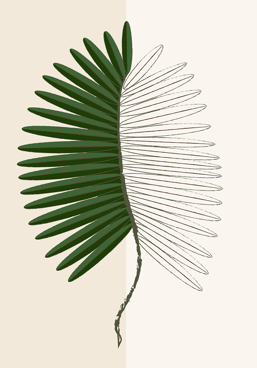 Liść egzotyczny plik do pobrania