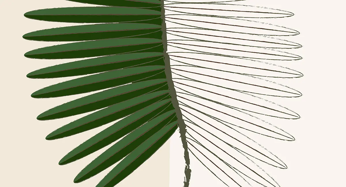 close up - grafika do druku palma