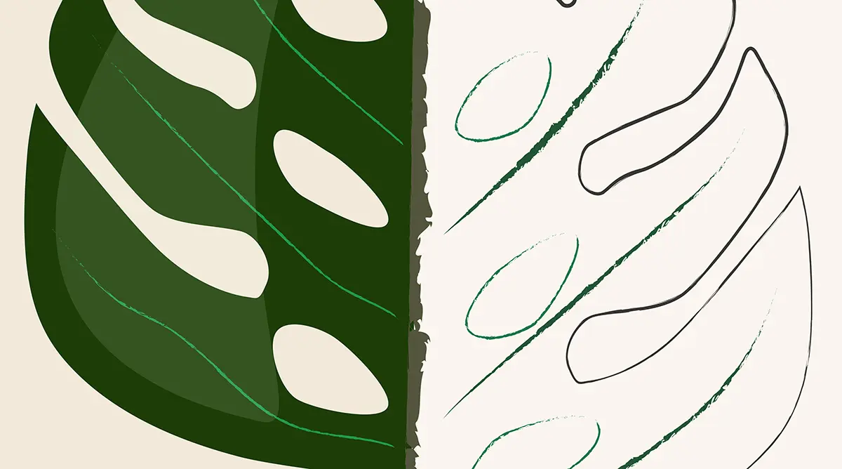 close up - grafika do druku monstera