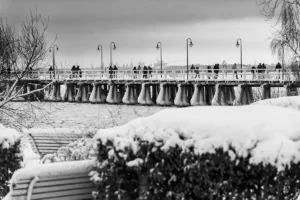 plik czarno biały do pobrania i wydruku