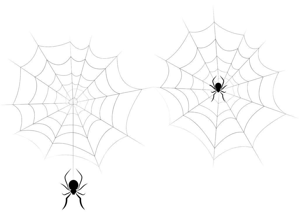 Dwie czarne pajęczyny połączone nicią, grafika na Halloween na przezroczystym tle